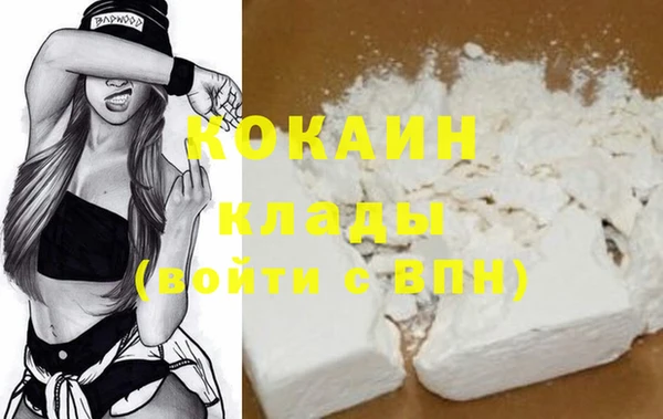 кокс Гусев