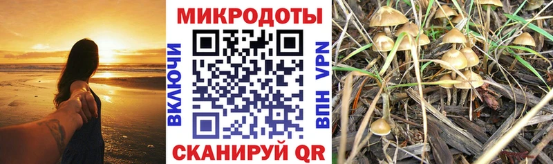 Галлюциногенные грибы GOLDEN TEACHER  Купить где  Карачев 